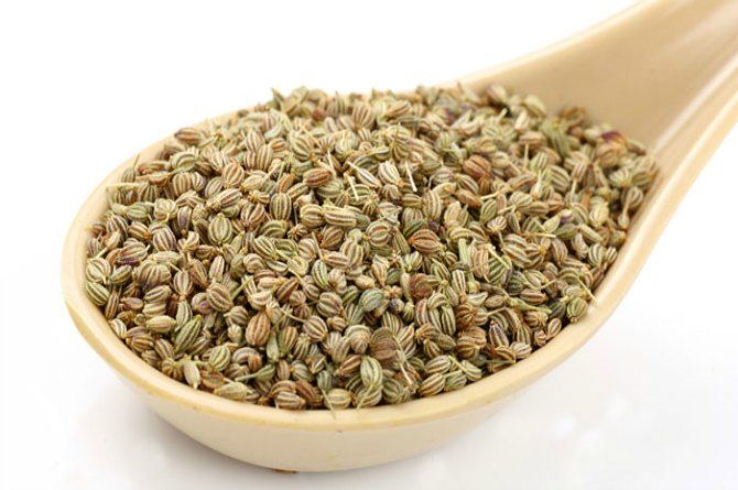 DHANI PURE AJWAIN WHOLE, 100g | NATURAL AND AUTHENTIC SPICES